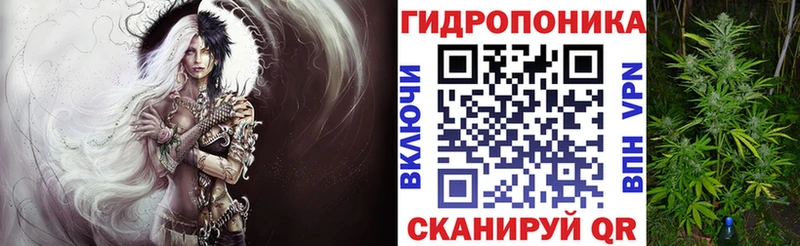 Каннабис ГИДРОПОН  где можно купить наркотик  Иланский 